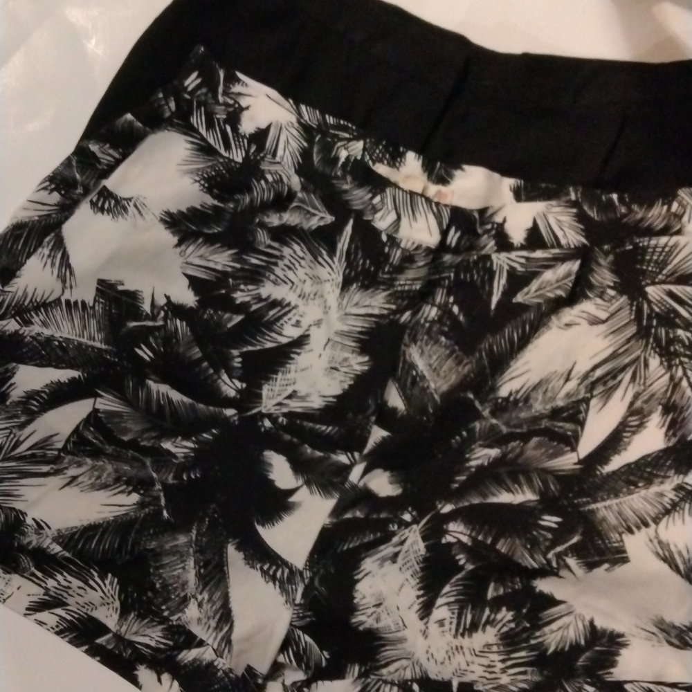 2 SoRad shorts